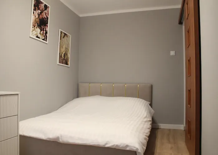 Apartment Zloty Zakatek